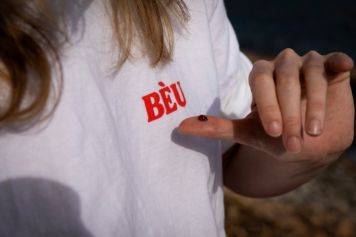 Bèu Bestouan